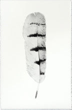 Load image into Gallery viewer, Feather Study Large

