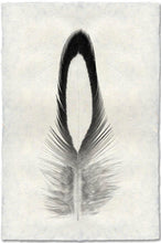 Load image into Gallery viewer, Feather Study Large
