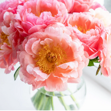 Load image into Gallery viewer, Pink Picasso Paint By Numbers Kit
