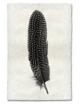 Load image into Gallery viewer, Feather Study Large
